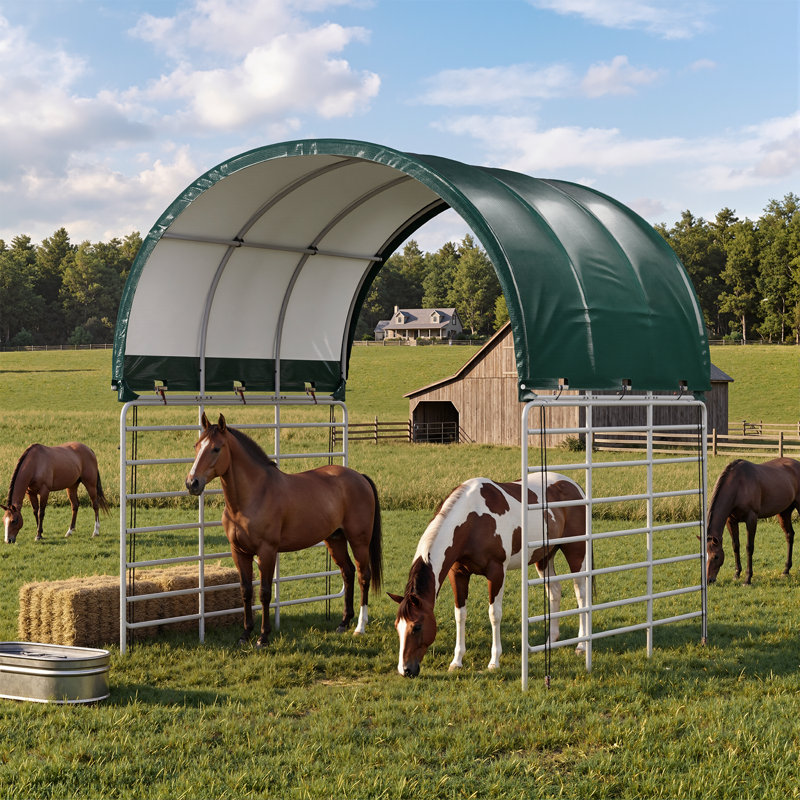 Abri pour animaux 10 pi x 10 pi vert foncé de style rond, 10 pi x 10 pi
