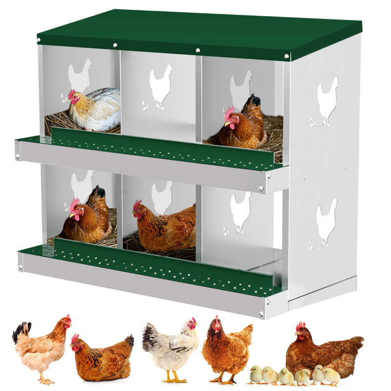 Chicken Egg Incubator, 67.5cm H x 81.5cm W x 43cm D, Green