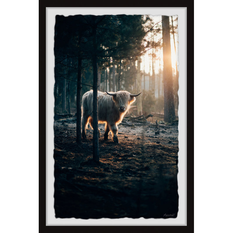 Grazing Before Sunrise - Single Picture Frame Print, 61cm H x 41cm W x 3.81cm D