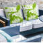 Coussin Cecil-99131212-99131211