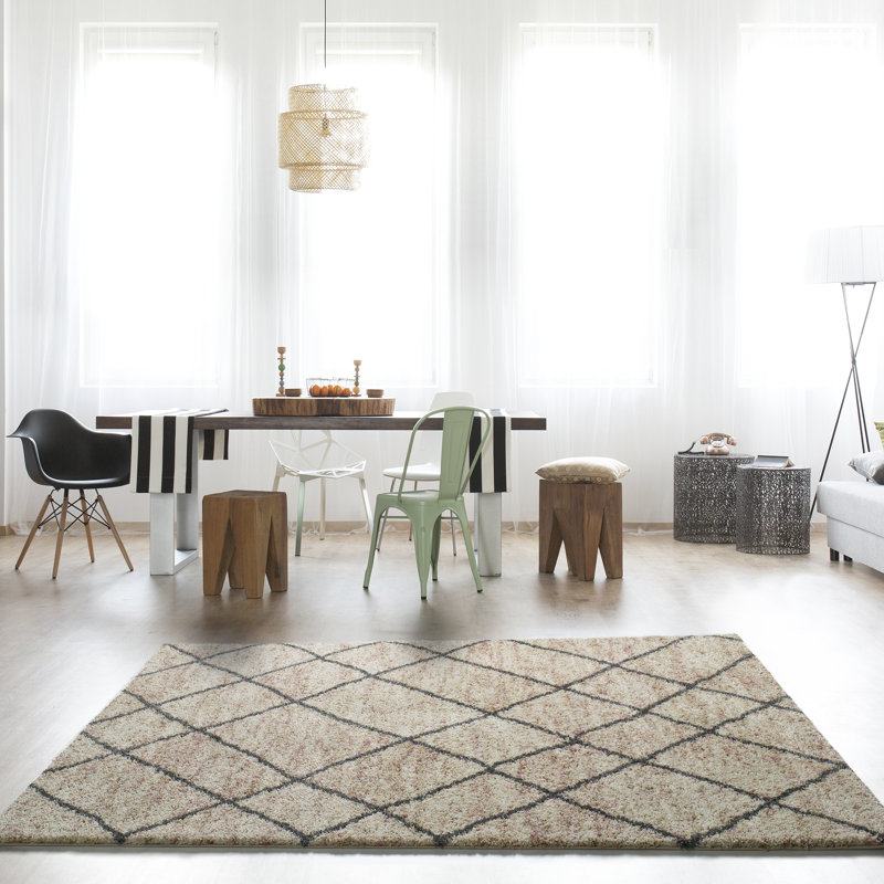 Mordenhill Southwestern Area Rug, Rectangle 133 x 190cm