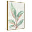 Gingembre II - reproduction d'art-55542019-55542020