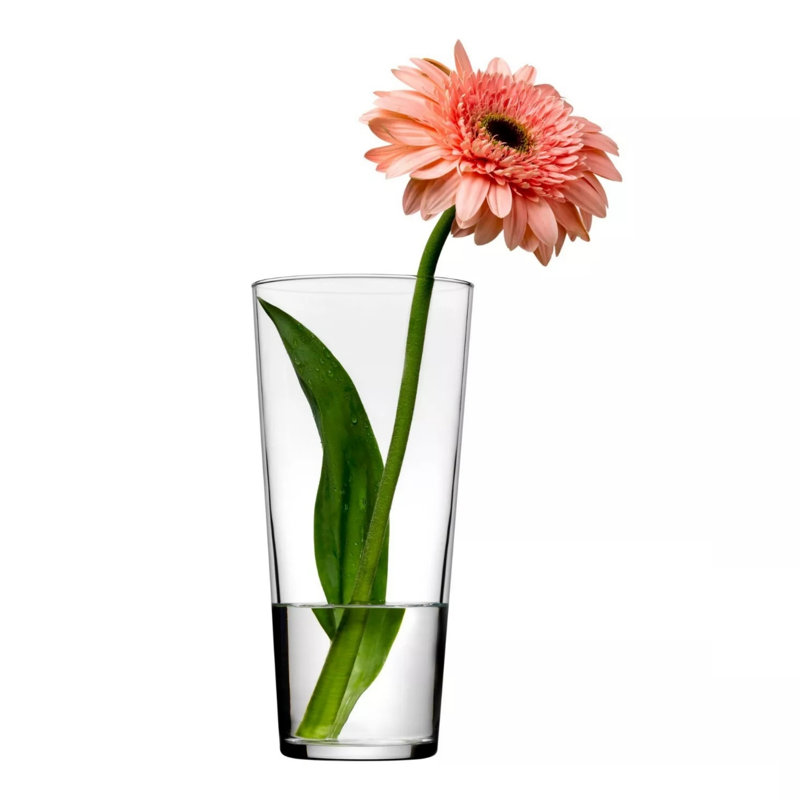 Ladainian 12" Glass Taper Vase Set of 6