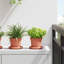 Round Flower Pot 6 Pcs Plastic-701502282-701502281