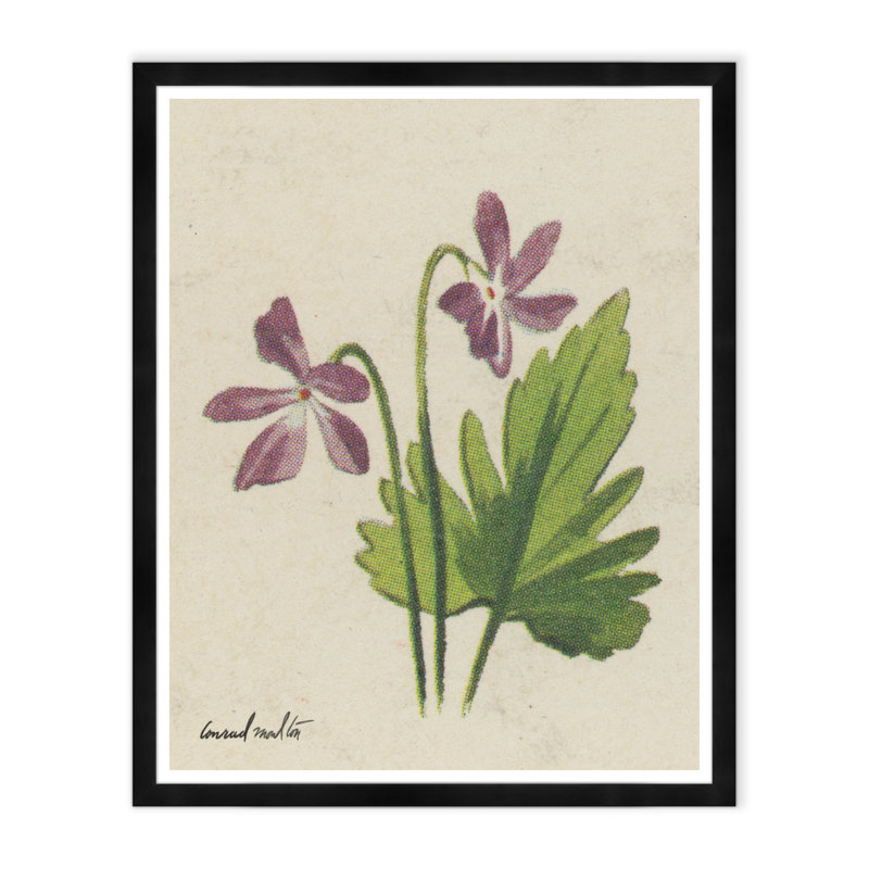 Purple Petals Print