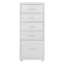 Eulus 28cm Wide 5 -Drawer File Cabinet-780381028
