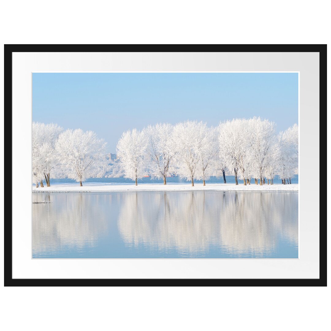 Gerahmtes Poster Schneebedeckte Bäume im Winter