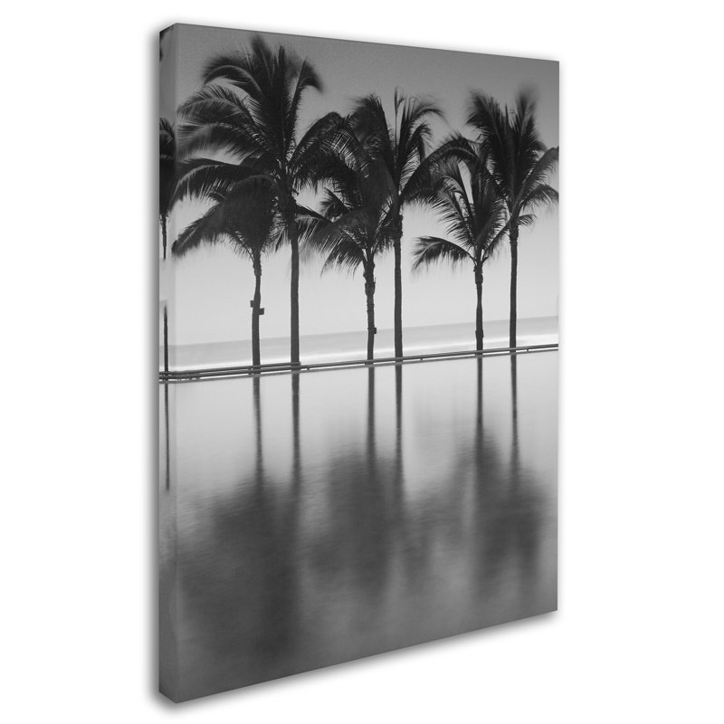 « 48 st », reproduction de photo sur toile tendue, H 47 po x l 35 po