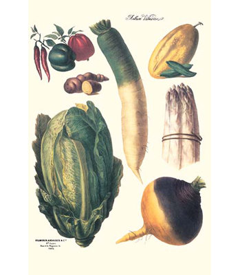 Légumes-impression d’art graphique