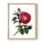Natural is out of stock