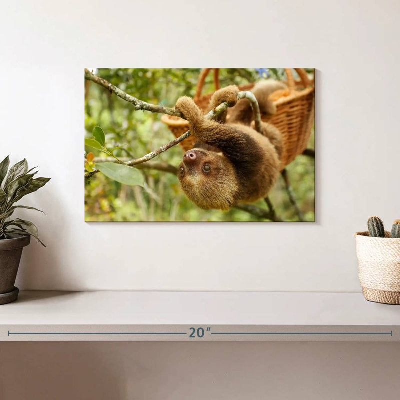 Brampt Sloth On A Tree, 8" H x 12" W