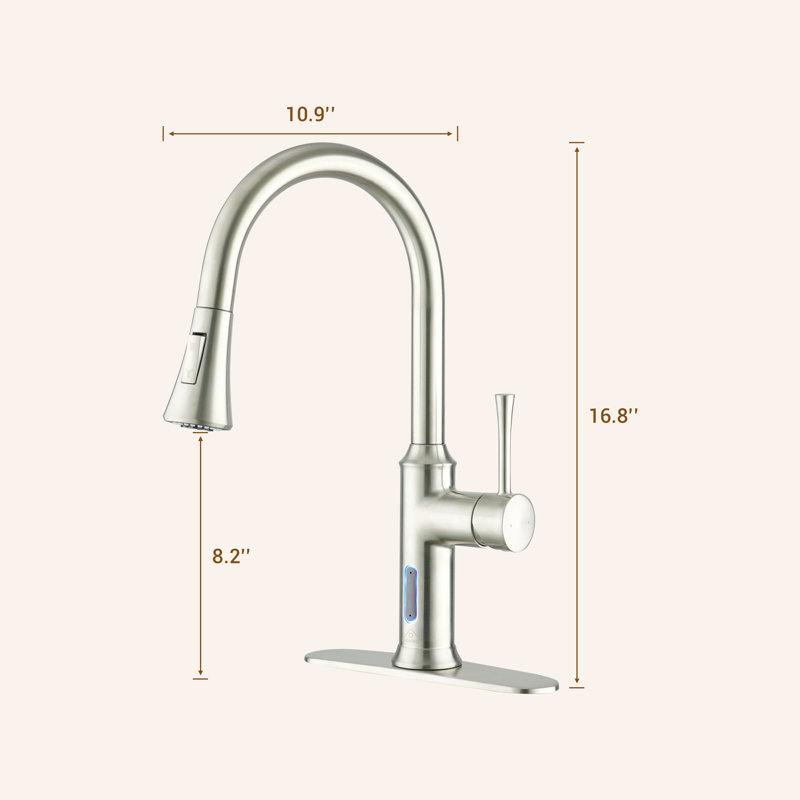 Robinet de cuisine RagerTeens Smart Faucet, Nickel