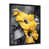 Black Single Picture Framed