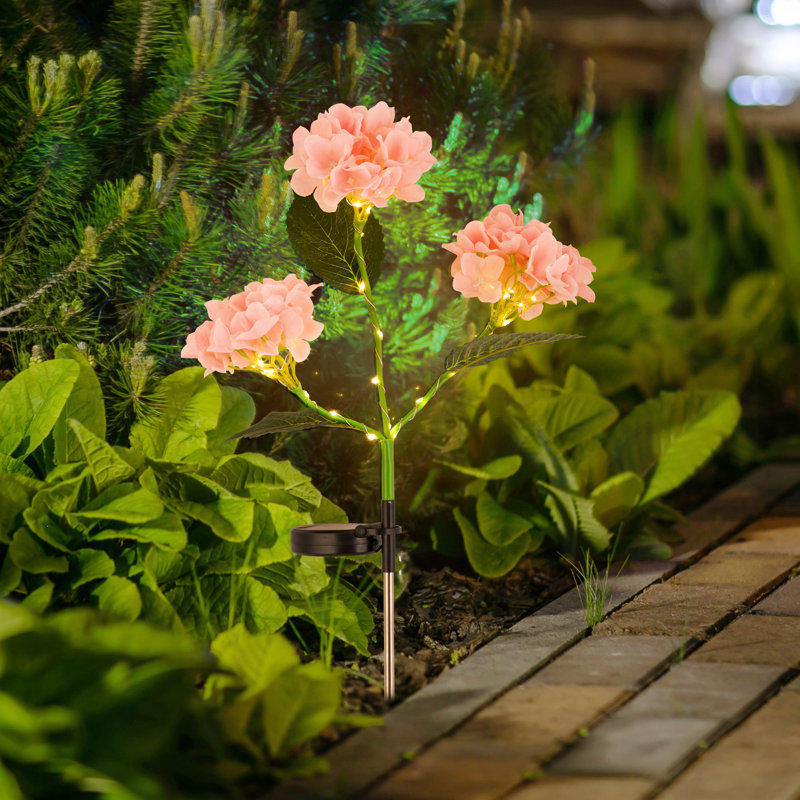 Ensemble de 2 lumières solaires pour sentier d'hortensias, Rose