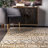 Cathy Southwestern Indoor Rug-677906920
