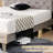 Massi Upholstered Platform Storage Bed-730745723