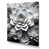 Toile tendue