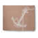 Alay Chenille Indoor Rug