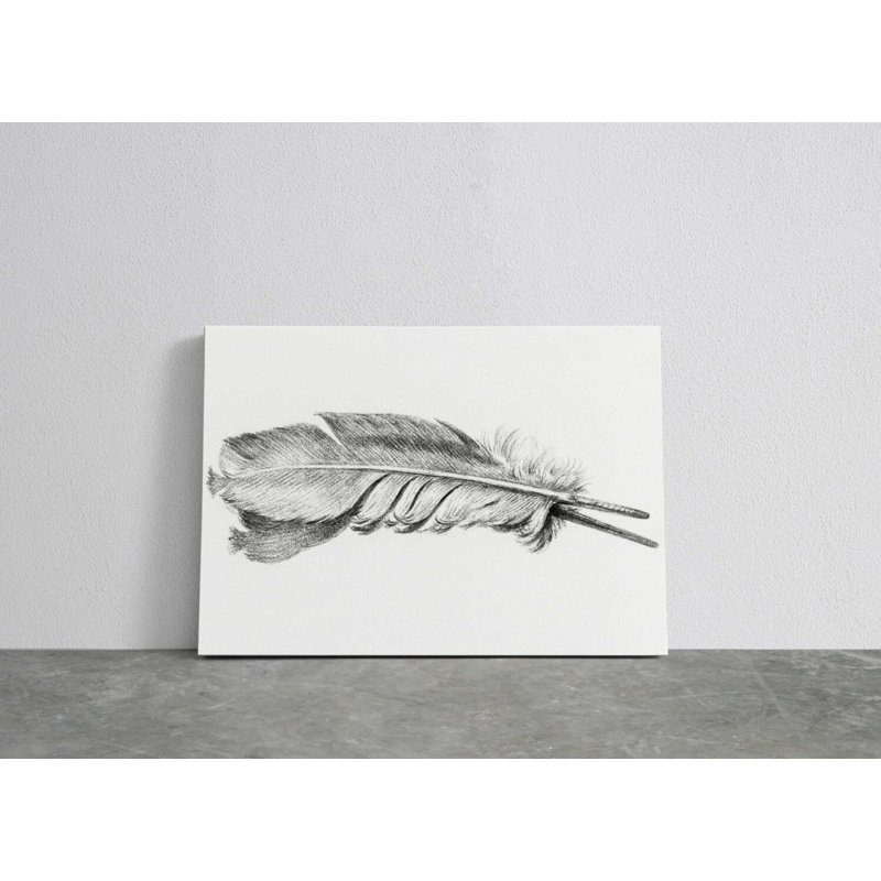" Feather - Wrapped Canvas Print ", 30" H x 45" W x 1" D