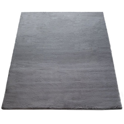 Briscoe Solid Colour Shag Area Rug