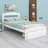 Gloriana Twin Low Profile Storage Platform Bed-551541450