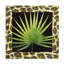"Tropic Collection I" par Alonzo Saunders, impression sur toile tendue-2065312599
