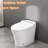 Modern Ceramic Toilet With Adjustable Temp Seat & Water Feature Auto Flush Material
