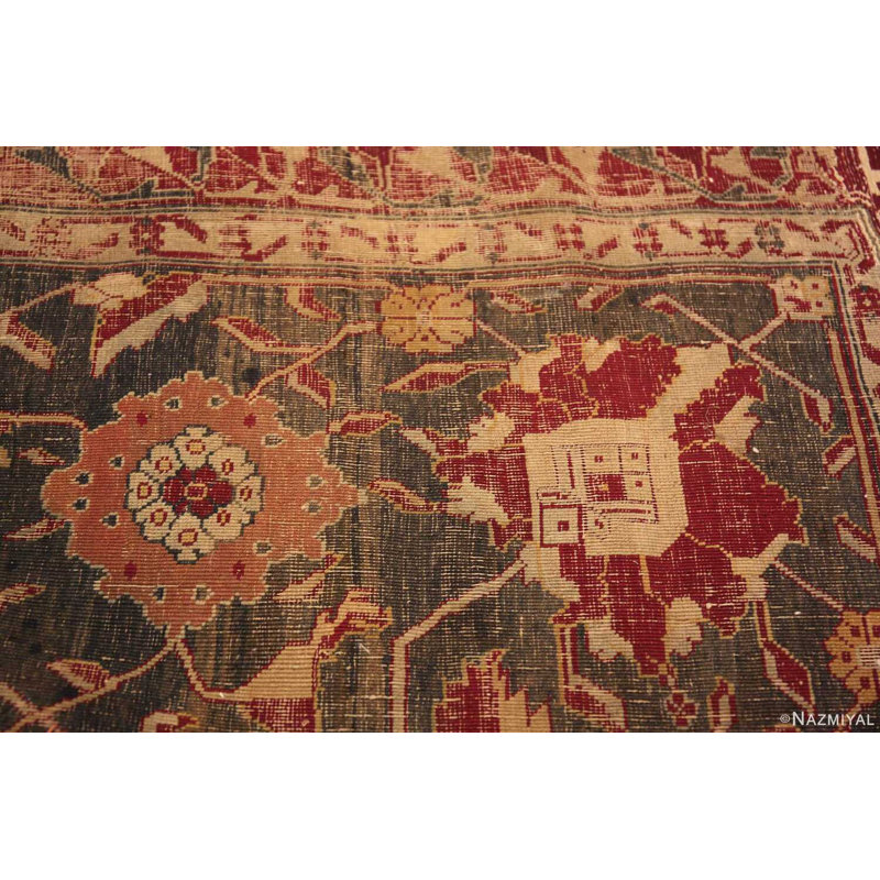 Tapis rouge Agra
