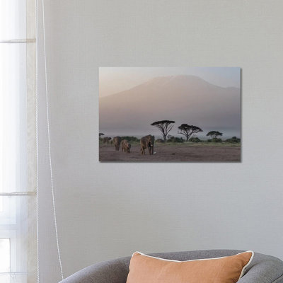 Africa, Kenya, Amboseli National Park. Elephants And Umbrella Thorn Acacia Trees. by Jaynes Gallery - Wrapped Canvas Print