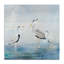 Coastal Heron Family, conception de Lily K.-1241849787