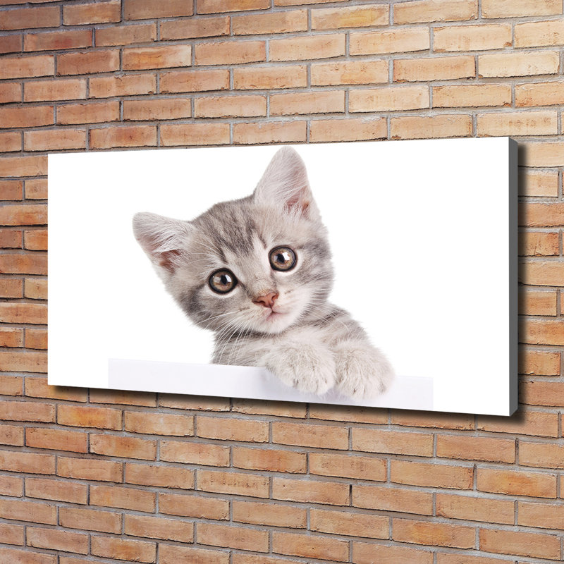 Grey Cat - No Frame Print on Canvas