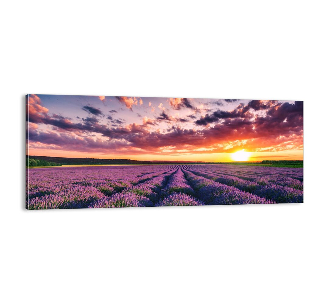 Leinwandbild - Fotografie „Lavender World”