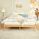 Kailianna 14'' Solid Wood Platform Bed – Durable Wooden Bed Frame with Tall Design for Extra Heavy Duty Support and Timeless Style