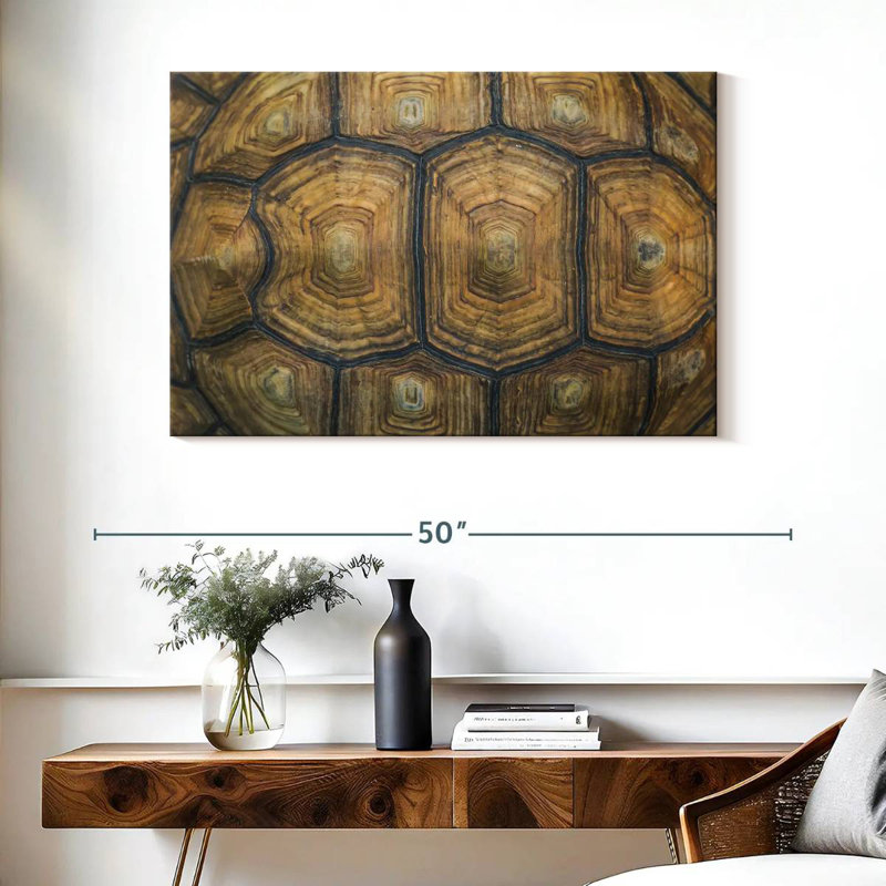 Brampt Giant Tortoise Shell, 26" H x 39" W