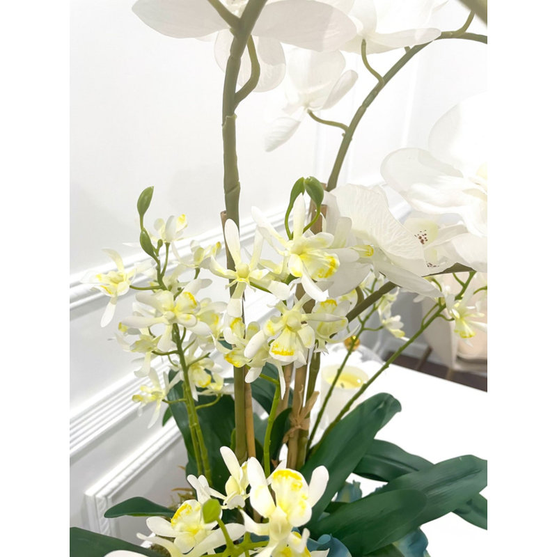 Arrangement d'orchidées Malden dans un vase