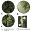 «Hidden Forest Castle Unveilé III», art mural forêt-1072937107-1072937131