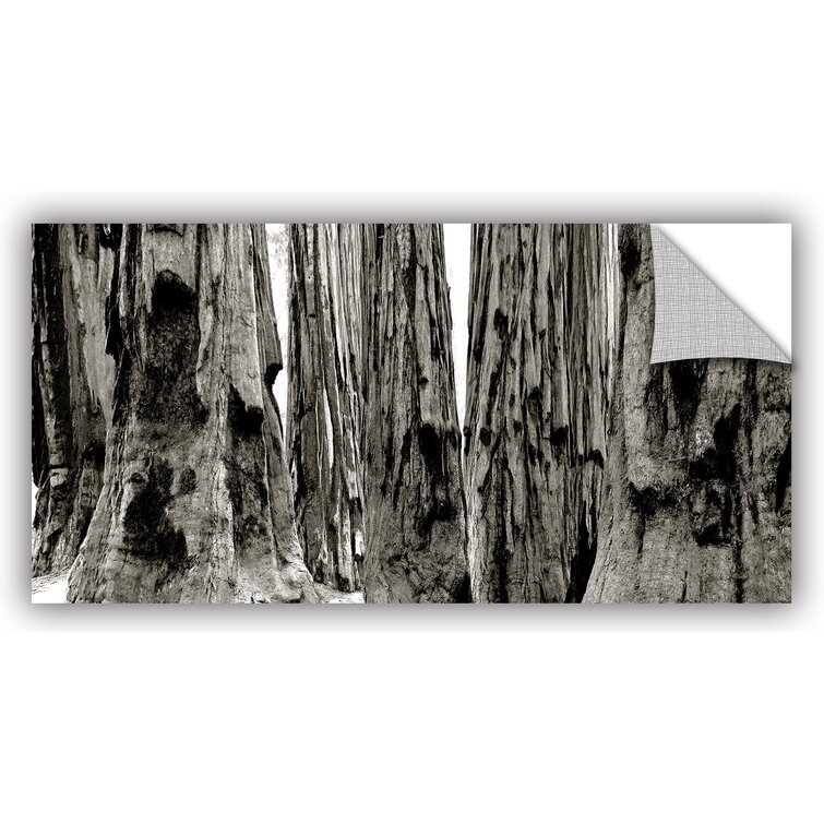 Millwood Pines Mike Beach Landscape & Nature Wall Decal 