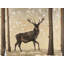 Roe Deer in Winter Landscape - Holiday Snow Framed Print
