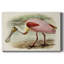 Roseat Spoonbills II - impression sur toile tendue-1632164860