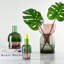  Reversible Glass Vase