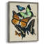 «Collage Butterflies I», reproduction encadrée - bois massif-1831910051