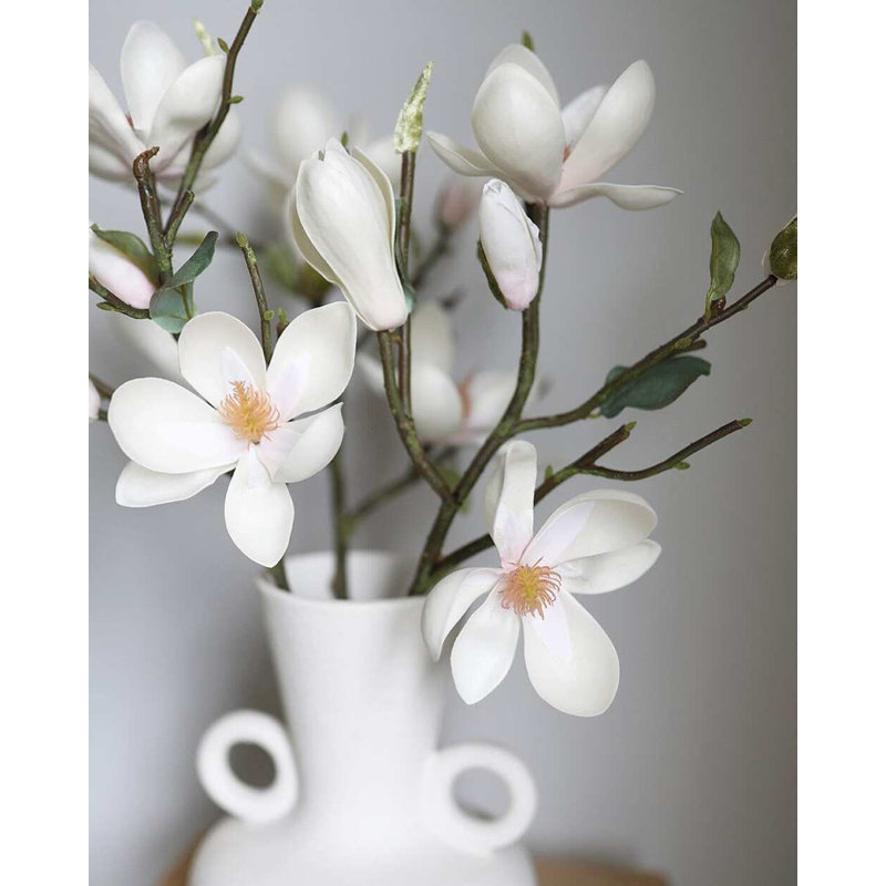White Magnolia Tulip 20"