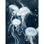 Medusa Print On Canvas-98694084