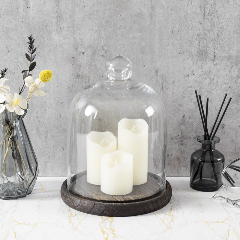 Vidu Display Clear Cloche with Wood Base