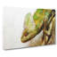 Chameleon Lizard Vol.3 - Wrapped Canvas-61848640