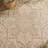 Danya Cream/Beige Indoor/Outdoor Area Rug-1211224136
