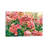 Gentle Geraniums-2003987620-2003987601