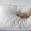 Soft Support Pillow (Set of 2)