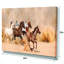 «Herd Gallops in Sand Storm», reproduction de photo sur toile tendue-33252032-16484639