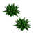 Green est en rupture de stock